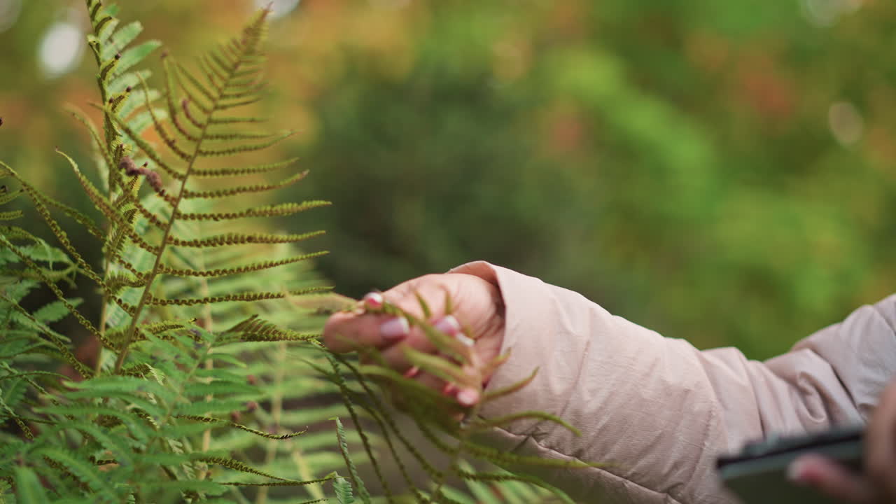 close up of hand holding fern leaf in lush outdoor forest during botanical observation, fingers gently examining texture and structure of greenery