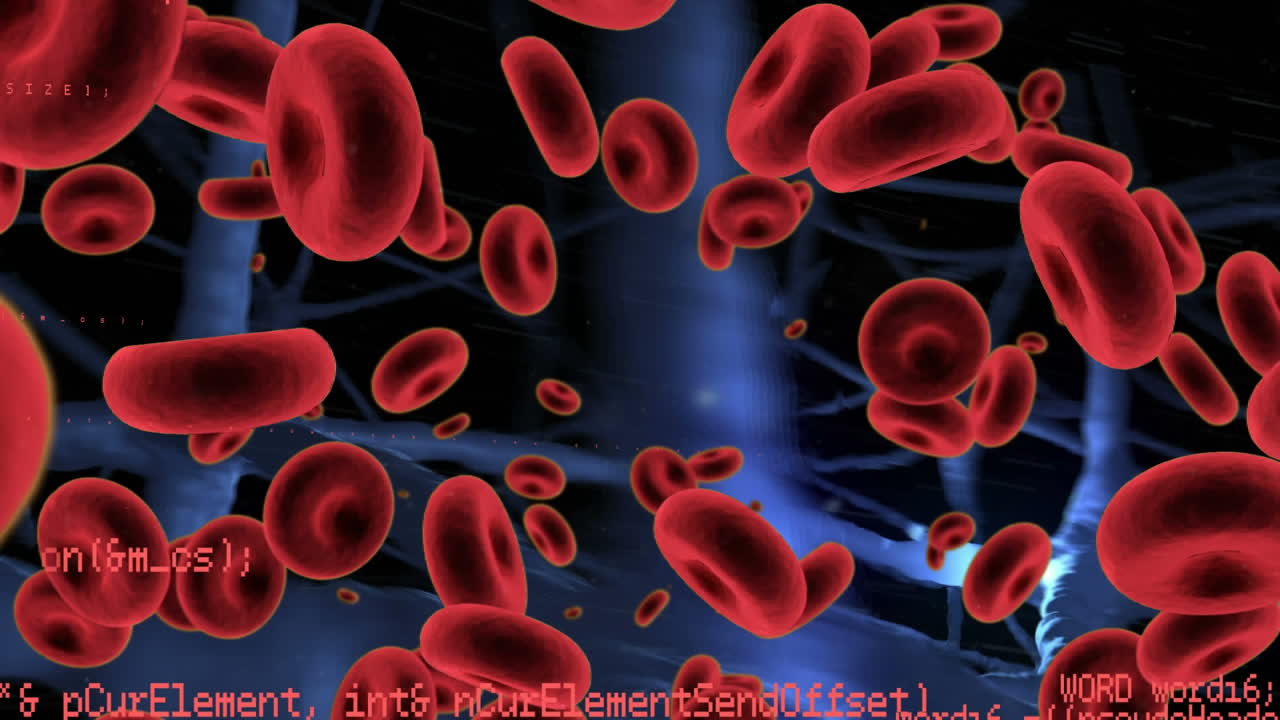 animación del procesamiento de datos sobre los glóbulos rojos y las neuronas azules sobre fondo negro
