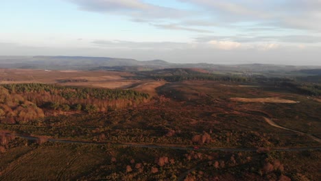 aerial over woodbury common heathland bathed in afternoon sun