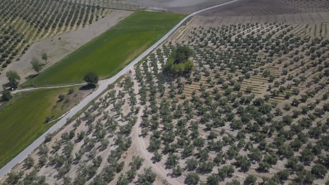 vista aérea de una carretera en el campo español rodeada de campos de olivos