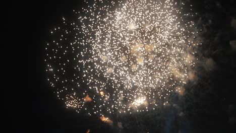 fuegos artificiales en el cielo durante la celebración - cámara lenta nocturna