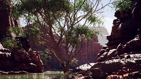 impresionante paisaje de cañón con un río y árboles