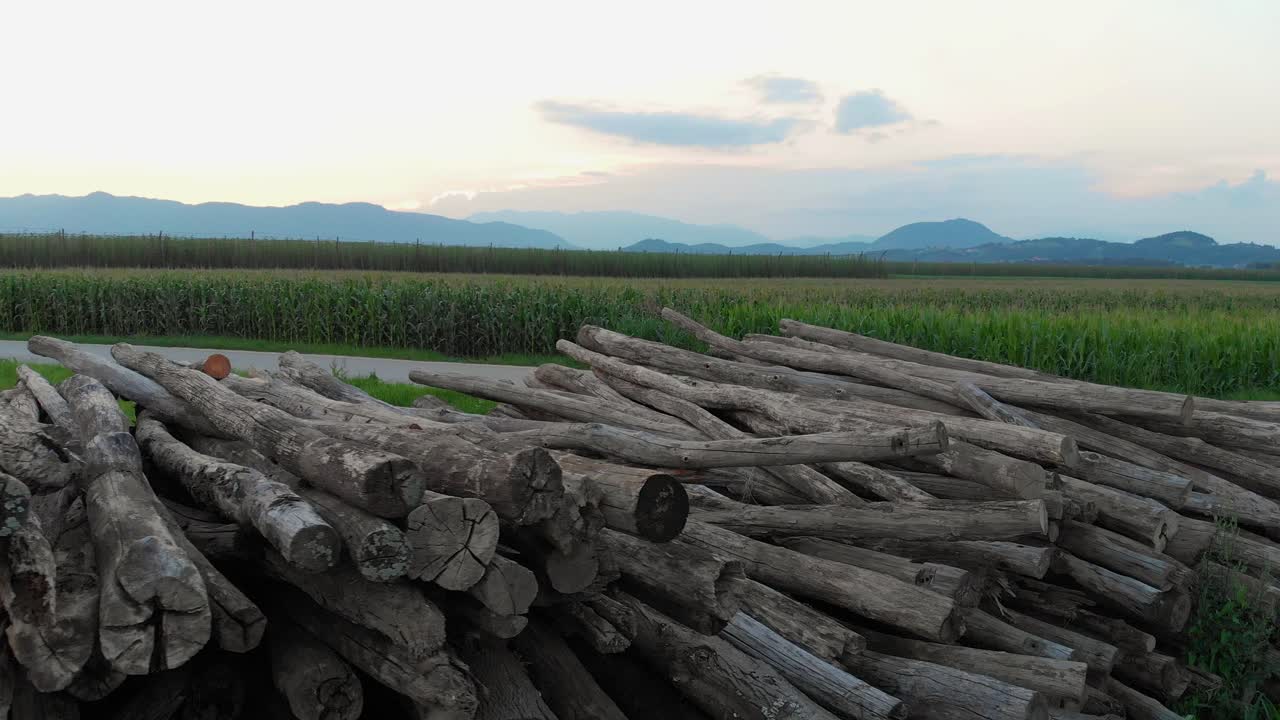 셈피터의 아스팔트 도로에 의해 배열된 통나무의 가로 보기, 항공 샷