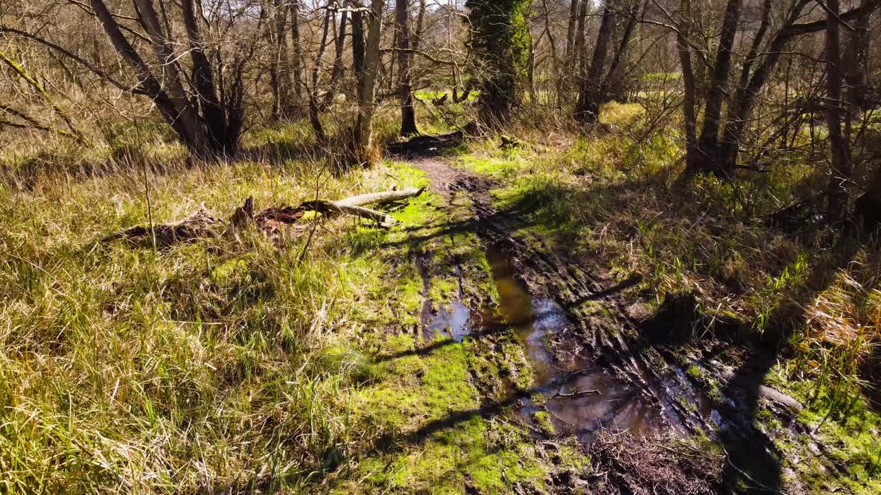 flotando a través de una parte fangosa y pantanosa de un hermoso sendero forestal