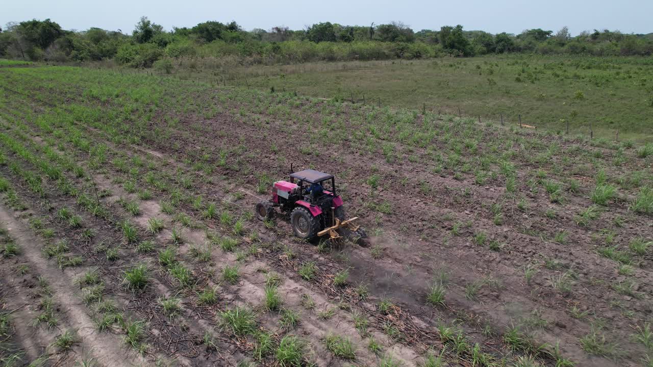 Red tractor fertilizing sugar cane field from an aerial view on a bright day