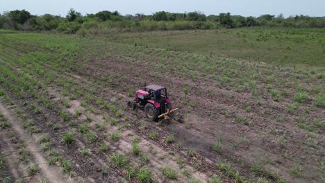 red tractor fertilizing sugar cane field from an aerial view on a bright day