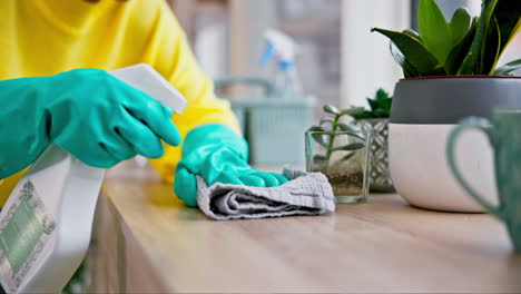 cleaner, hands and person with chemical