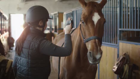 young jockey girl is brushing a brown horse in a stable.