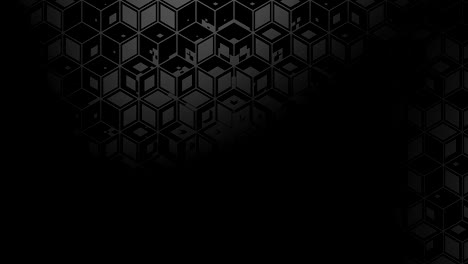 el fondo del rombo