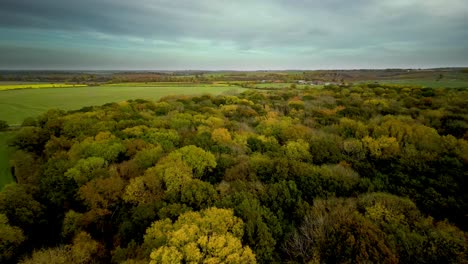 Toma-Aérea-Hacia-Atrás-De-Un-Bosque-Inglés-En-Otoño