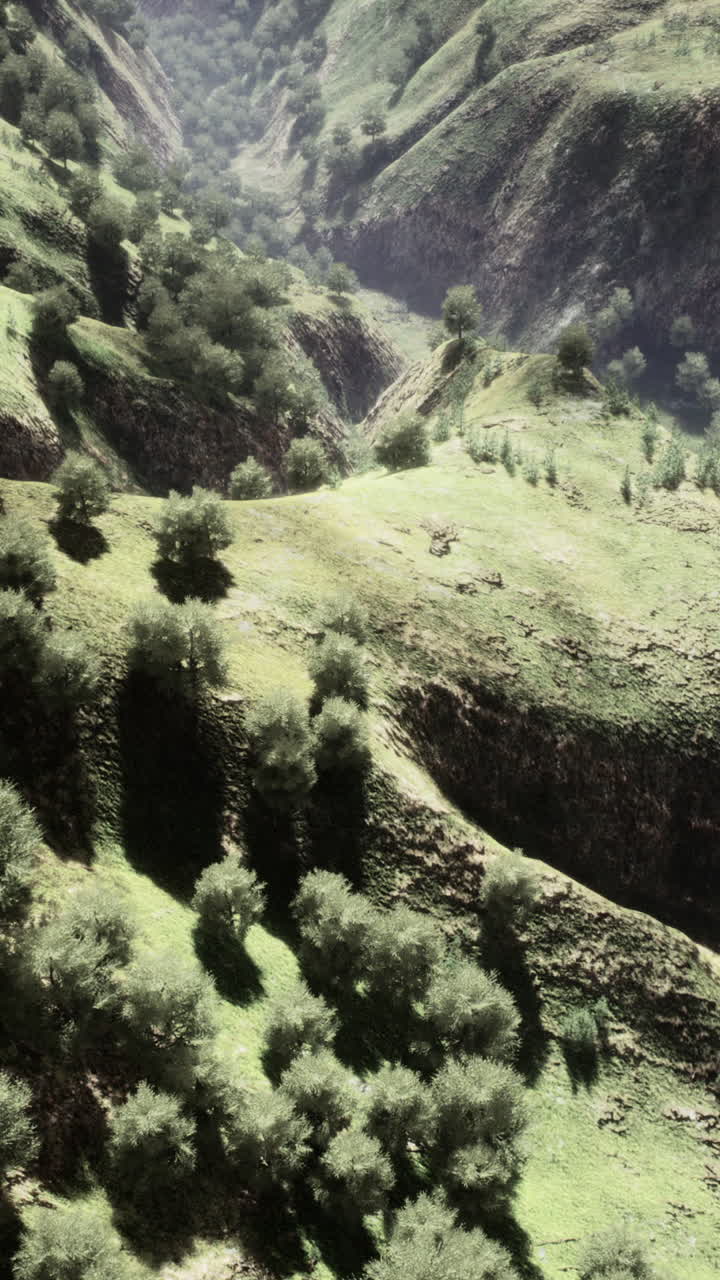 paisaje sereno de valle de montaña