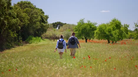 tres amigos caminan en un campo de amapolas en primavera o verano