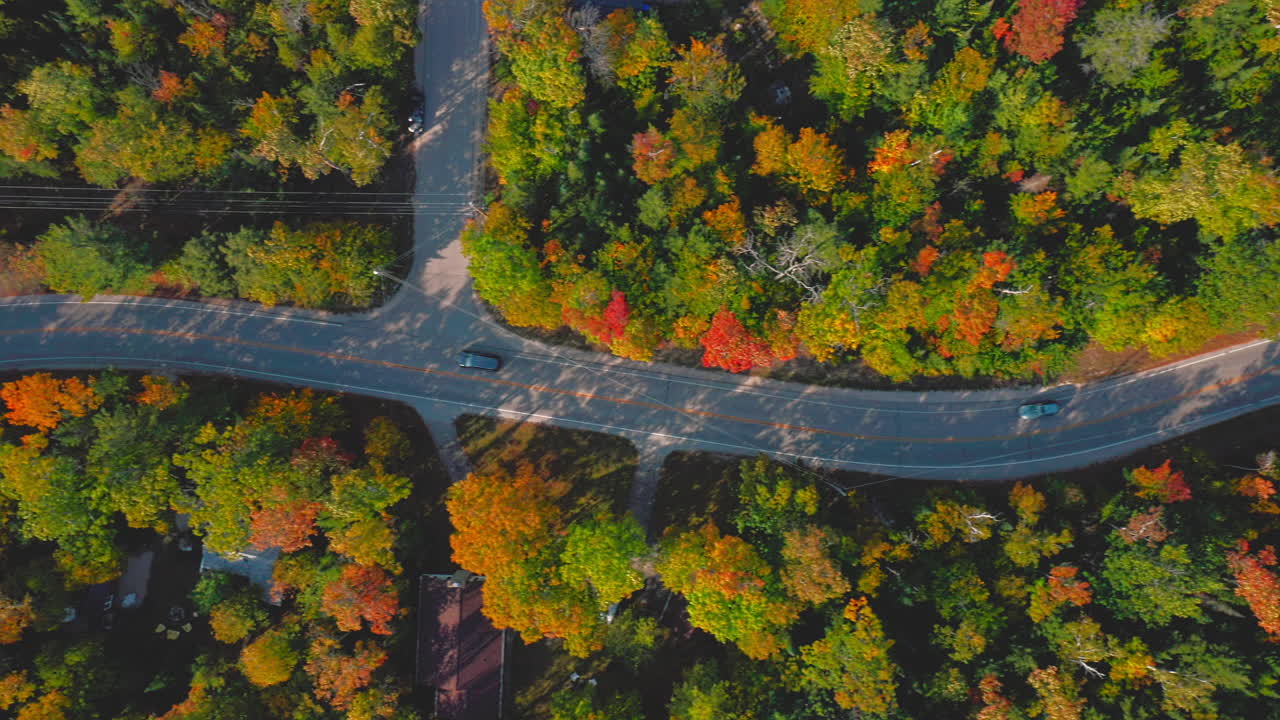 A serpentine road weaves through a dense forest glowing with autumn color, where bright orange and green treetops form a vivid natural tapestry seen from above
