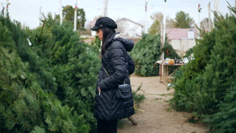 A-hispanic-woman-shopping-for-a-seasonal-holiday-Christmas-tree-decoration-on-a-lot-with-many-species-of-festive-trees