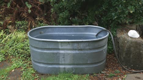 cold plunge galvanized oval tub being filled with a hose