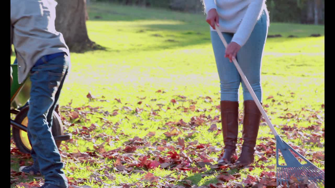 la familia recogiendo las hojas de otoño