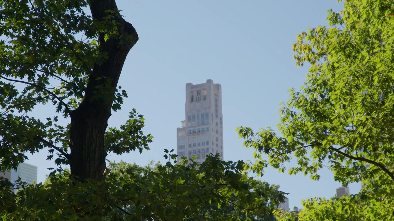 O topo de uma torre de apartamentos de pedra clara eleva-se acima das densas copas verdes das árvores num grande parque urbano, com a luz do sol a atingir os seus recuos e vãos de janela