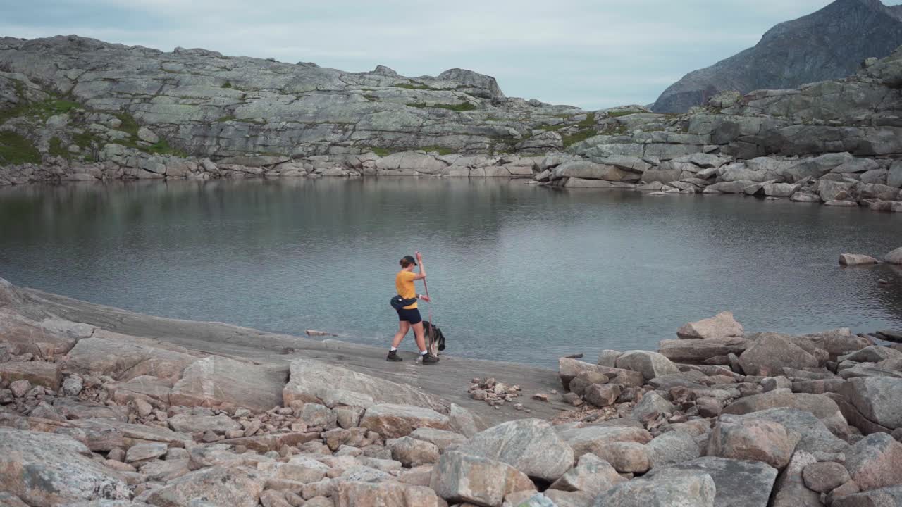 el malamute de alaska caminando y bebiendo agua del lago mientras la mujer sostiene la correa