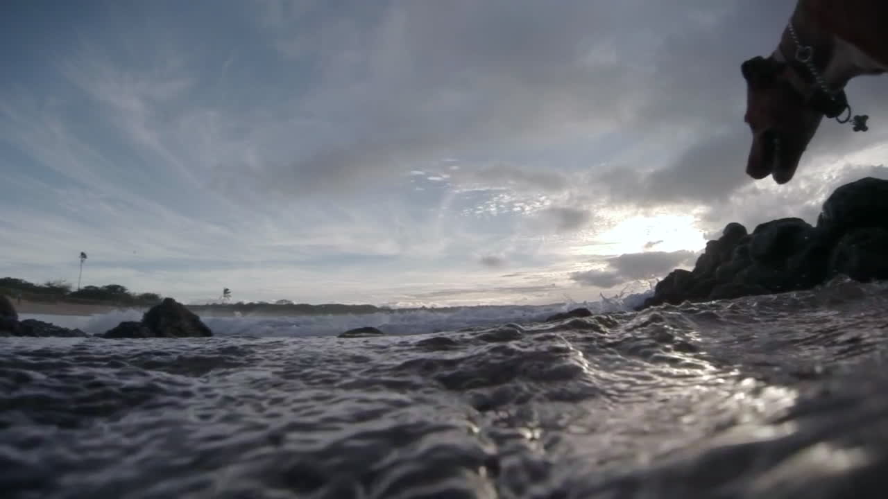 조수 웅덩이로 넘어가는 강아지의 pov 샷