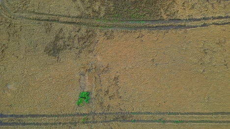 Top-down-drone-shot-above-flooded-fields,-aftermath-of-heavy-rain-in-Europe