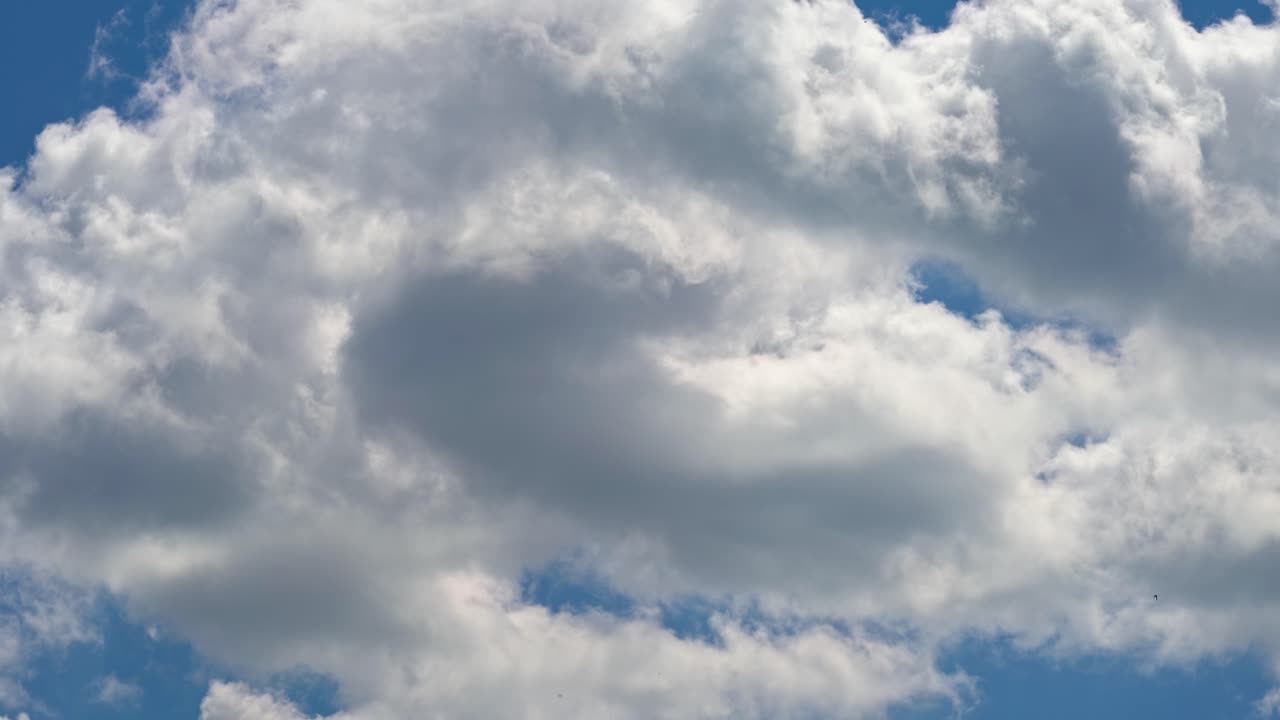 Clouds float in the blue sky during the afternoon under sunlight