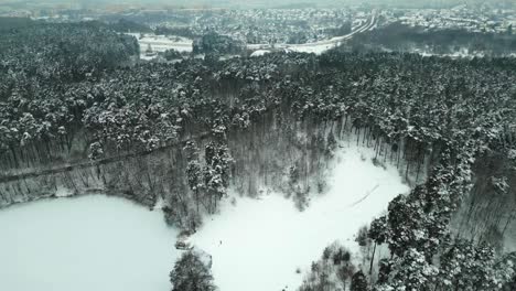 Snow-covered-forest-above-a-frozen-lake-from-a-bird's-eye-view