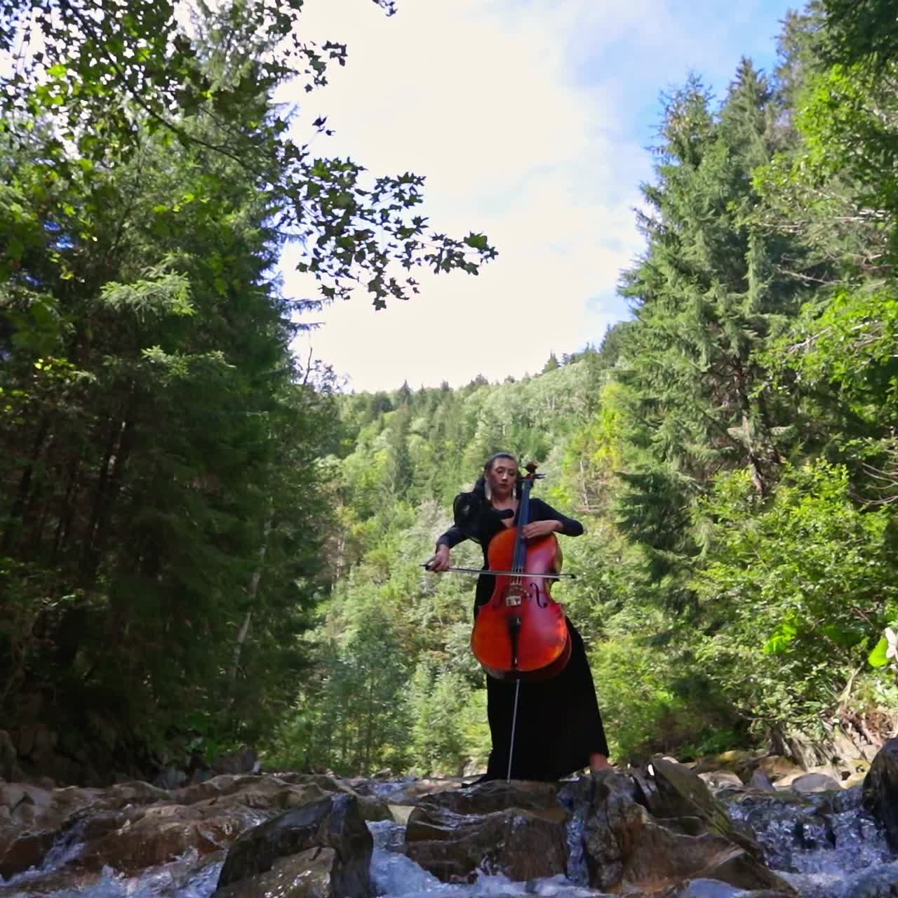 Beautiful girl plays the cello