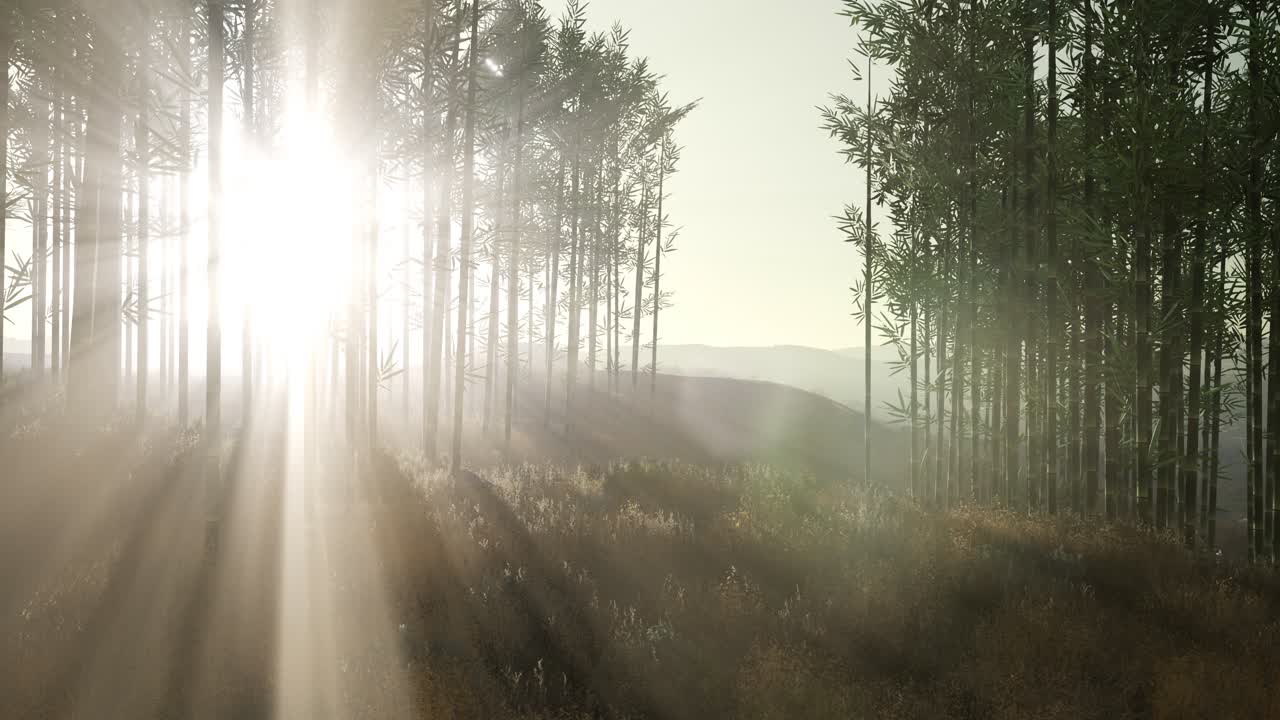 언덕 에 있는 초록색 대나무 숲