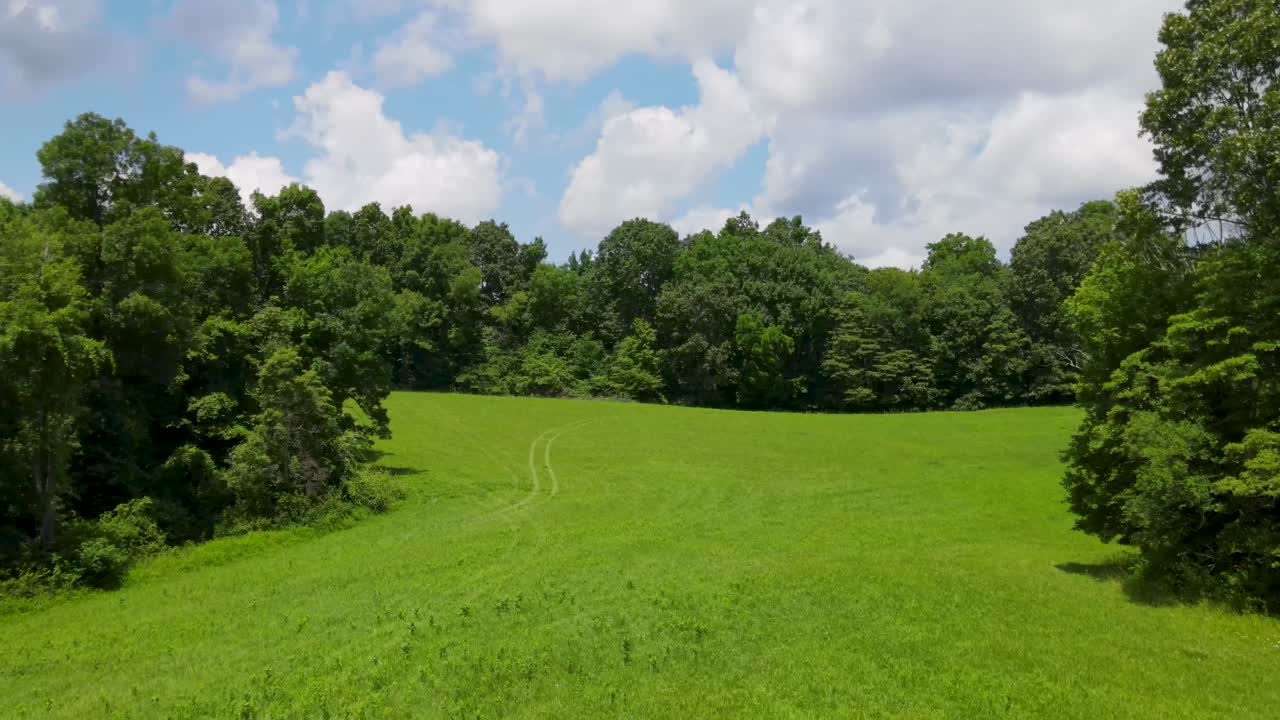 농장 위 를 날아다니는 드론 이 그 지역 의  ⁇  과 숲 을 보여준다