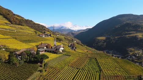 aerial drone over the vineyards, and the church of st