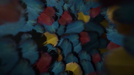 macaw feathers tunnel - seamless loop