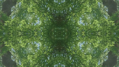 Greenery-Kaleidoscope-using-forest-imagery-from-Wissahickon-Creek,-Philadelphia,-#4