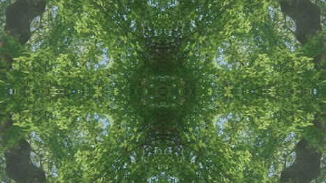 greenery kaleidoscope using forest imagery from wissahickon creek, philadelphia, #4