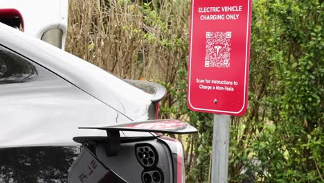 el vehículo de tesla se acerca y se estaciona en una estación de carga