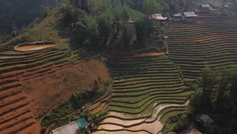 step farms are amongst residential houses and a brown irrigation dam on top of a steep hill in asia