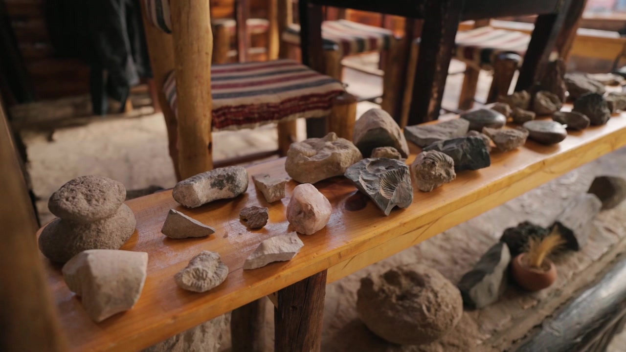 Fossil rocks and geological specimens rest on wooden display table in rustic interior setting, slow motion reveal shot highlighting mineral texture, paleontology, and natural history collection detail