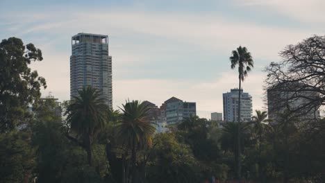 skyline view of palermo argentina coming up above the trees