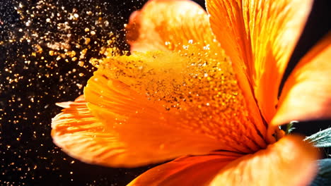 A close up of a red flower with a lot of powdery dust on it. The flower is the main focus of the image, and the dust adds a sense of movement and energy to the scene