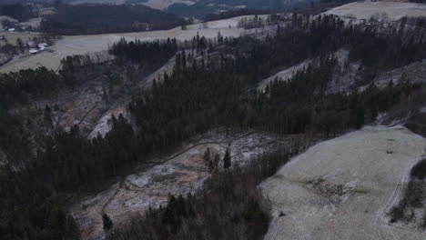 Fliegen-über-Die-Landschaft-über-Die-Bäume-Und-Den-Blick-Auf-Das-Umliegende-Dorf-Während-Des-Beginnenden-Schneefalls