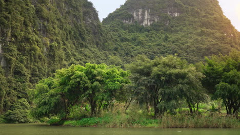 lush mountains and trees in ninh bình, vietnam