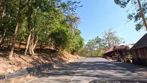 a peaceful drive through lush greenery