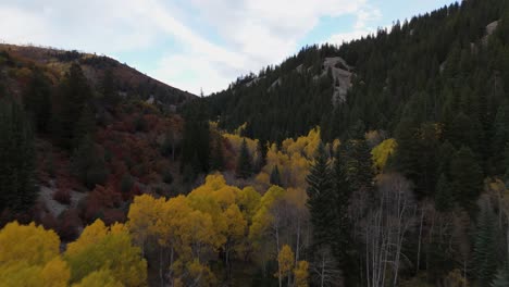 Aufsteigende-Drohne-Schoss-Im-Herbst-Durch-Ein-Mit-Espenbäumen-Gefülltes-Tal