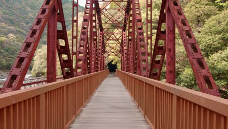 Verlassene-Eisenbahnbrücke,-Fukuchiyama---Japan