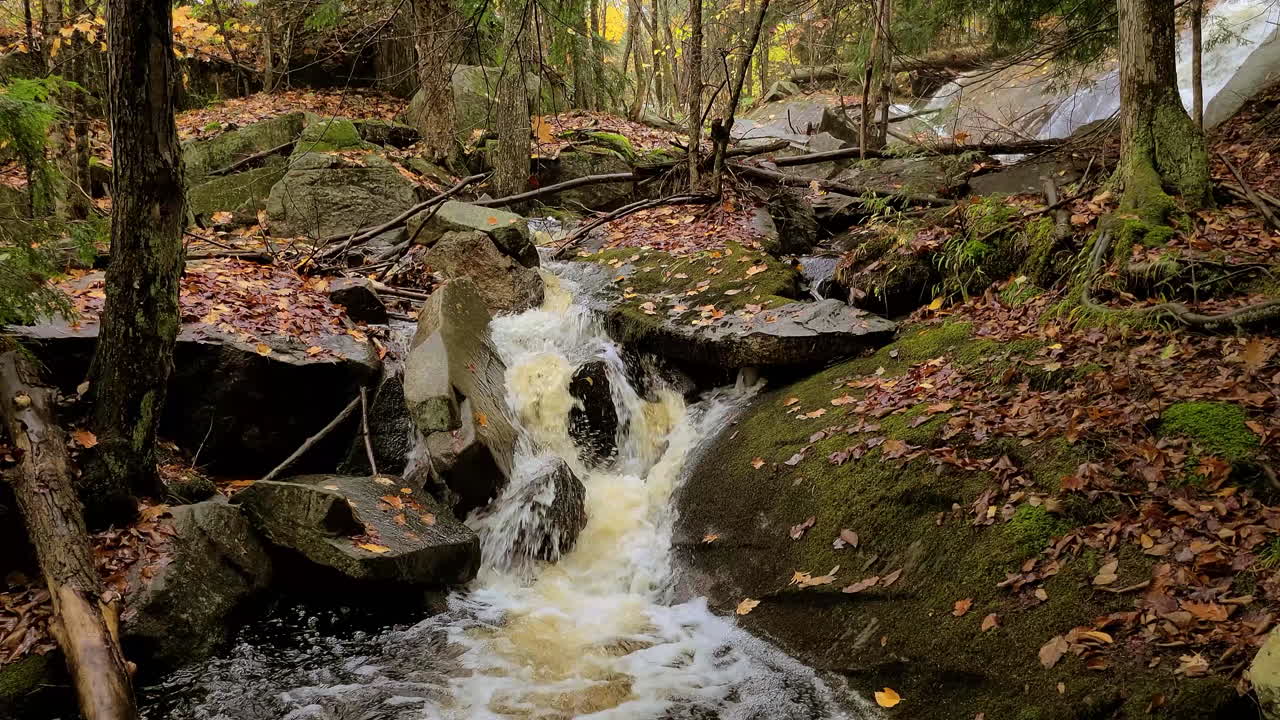 escena relajante del bosque mientras el flujo fluye sobre rocas cubiertas de musgo en la temporada de otoño