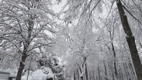 Snow-covered-Trees-And-Houses-During-Winter-In-Munich,-Germany