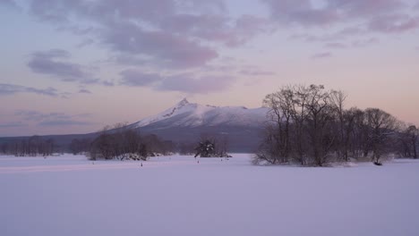 locked off view of beautiful onuma koen national park in winter