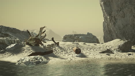 rocky ocean coast with mountains and a beautiful sand beach