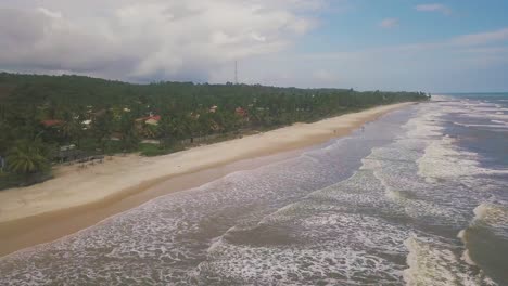 aerial view of tropical beach with waves and palm trees