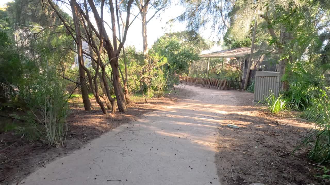 울창 하고 그늘진 동물원 길 을 고 있다