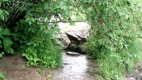 nature trail through rocks and trees